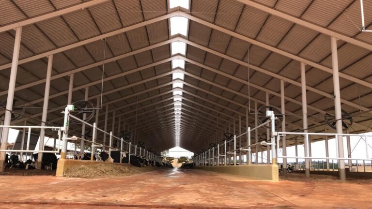 WhatsApp Image 2025-05-30 at 15.13.20 (5)